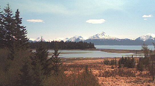 Beluga Slough